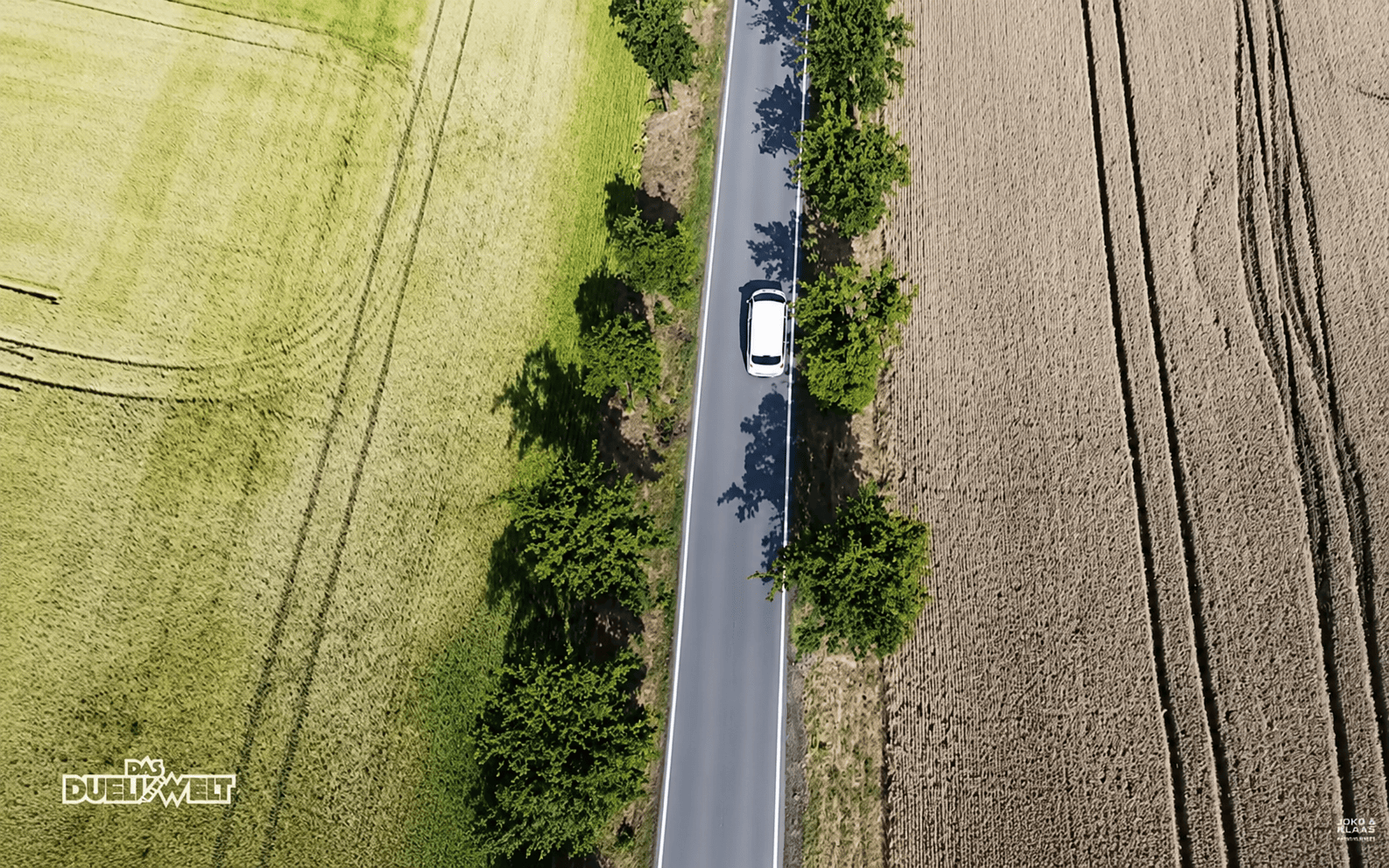 Kochshow — Straße